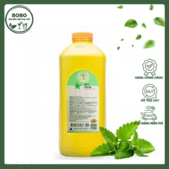 Siro Maulin Bạc Hà 2.5Kg