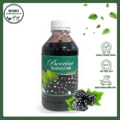 Sinh Tố Berrino Dâu Tằm 1L