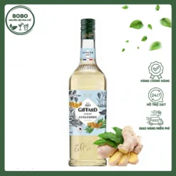 Siro Giffard Gừng 1L