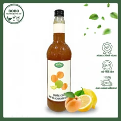 Nước Cốt Osterberg Mơ Và Chanh Muối 1L